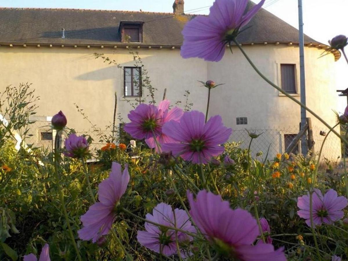 Manoir De La Guignardiere : The Ou Cafe ? Chavagne Εξωτερικό φωτογραφία